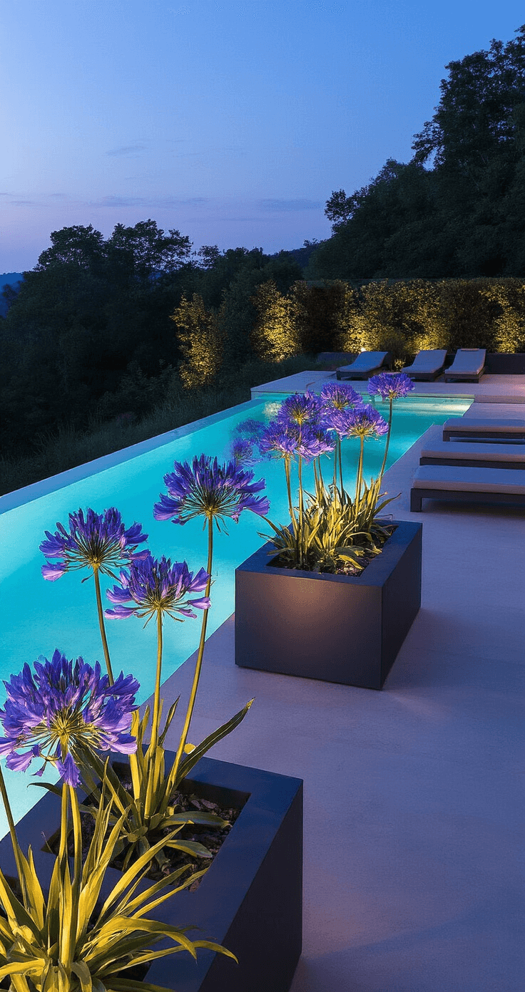 Agapanthus: The Ultimate Garden Showstopper for Stunning Landscape Design Contemporary twilight poolside landscape featuring illuminated Agapanthus in large concrete planters, with an infinity pool reflecting the scene. Sleek loungers add scale amidst deep blue water and violet flowers, with warm LED uplighting creating dramatic silhouettes.