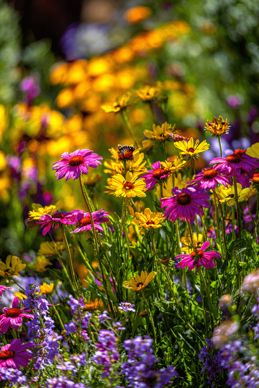 25 Front Yard Landscaping Ideas with Flowers for a Colorful Entrance